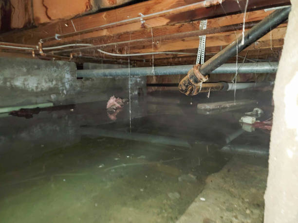 Water damage restoration insurance claims in Crystal Springs, MS