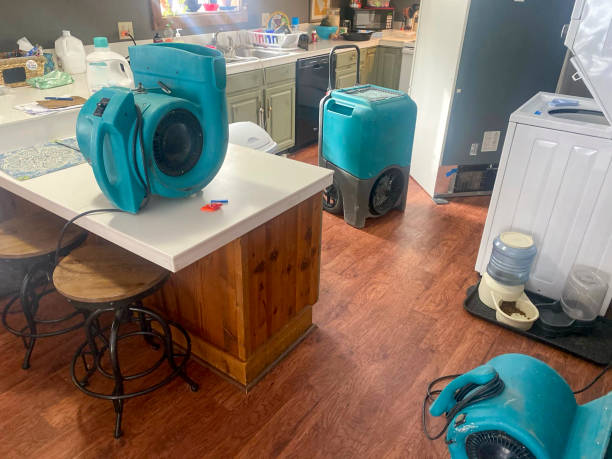 Best Water damage contractors near me  in Crystal Springs, MS
