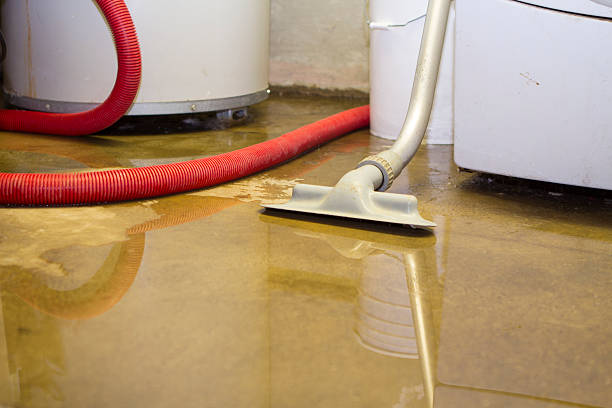 Best Sewage cleanup and water damage restoration  in Crystal Springs, MS