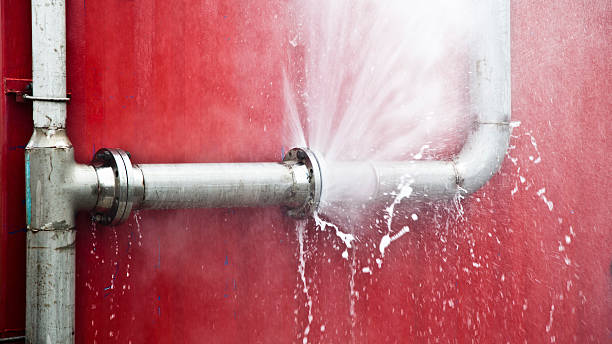 Best Water damage restoration specialists  in Crystal Springs, MS